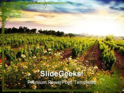 Vineyard nature powerpoint templates and powerpoint backgrounds 0311