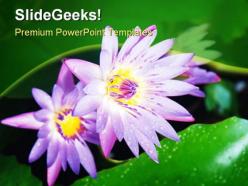 Water lilies beauty powerpoint templates and powerpoint backgrounds 0211