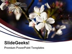 White Blossom Nature PowerPoint Templates And PowerPoint Backgrounds 0311
