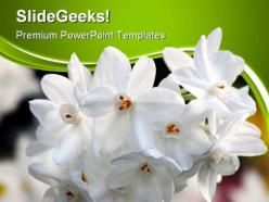 White flowers nature powerpoint templates and powerpoint backgrounds 0411