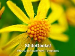 Yellow flower beauty powerpoint templates and powerpoint backgrounds 0211
