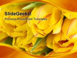 Yellow tulips beauty powerpoint templates and powerpoint backgrounds 0211