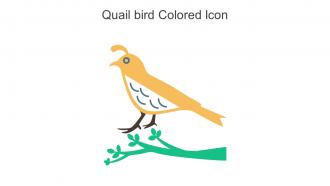 Quail Bird Colored Icon In Powerpoint Pptx Png And Editable Eps Format