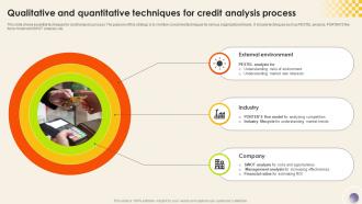 Qualitative And Quantitative Techniques For Credit Analysis Process