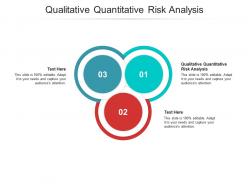 Qualitative quantitative risk analysis ppt powerpoint presentation templates cpb