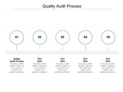Quality audit process ppt powerpoint presentation layouts visual aids cpb