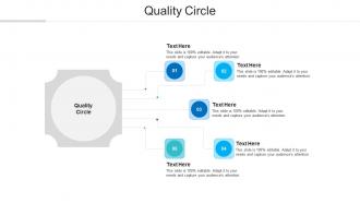 Quality circle ppt powerpoint presentation infographic template graphics cpb
