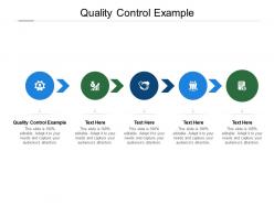 Quality control example ppt powerpoint presentation inspiration influencers cpb