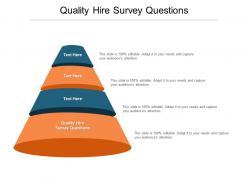 Quality hire survey questions ppt powerpoint presentation infographics format ideas cpb