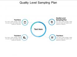 Quality level sampling plan ppt powerpoint presentation infographics master slide cpb