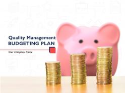 Quality Management Budgeting Plan Powerpoint Presentation Slides