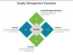 Quality management examples ppt powerpoint presentation infographics ideas cpb