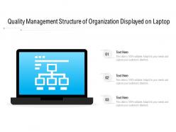 Quality management structure of organization displayed on laptop