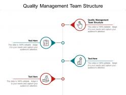 Quality management team structure ppt powerpoint presentation ideas cpb