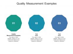 Quality measurement examples ppt powerpoint presentation professional slide portrait cpb