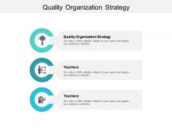 Quality organization strategy ppt powerpoint presentation professional structure cpb