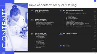 Quality Testing Powerpoint Presentation Slides Content Ready Editable