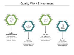 Quality work environment ppt powerpoint presentation infographics picture cpb