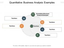 Quantitative Business Analysis Examples Ppt Powerpoint Presentation ...