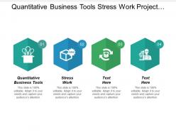 quantitative_business_tools_stress_work_project_management_performance_cpb_Slide01