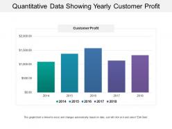 Quantitative data showing yearly customer profit
