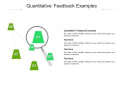 Quantitative feedback examples ppt powerpoint presentation professional clipart cpb
