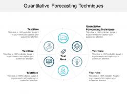 Quantitative forecasting techniques ppt powerpoint presentation slides backgrounds cpb
