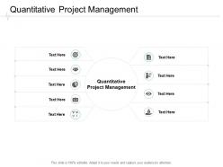 Quantitative project management ppt powerpoint presentation infographic template graphics cpb