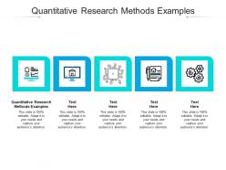 Quantitative research methods examples ppt powerpoint presentation infographics structure cpb
