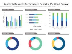 Quarterly business performance report in pie chart format