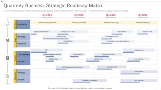 Quarterly Business Strategic Roadmap Matrix