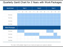 Quarterly gantt chart for 3 years with work packages