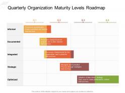 Quarterly organization maturity levels roadmap