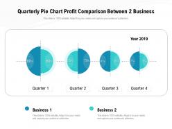 Quarterly pie chart profit comparison between 2 business