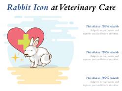 Rabbit icon at veterinary care