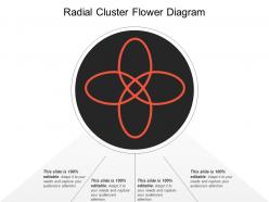 Radial cluster flower diagram