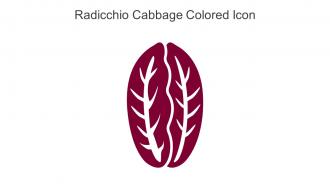 Radicchio Cabbage Colored Icon In Powerpoint Pptx Png And Editable Eps Format