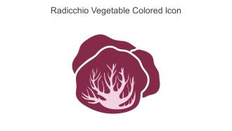 Radicchio Vegetable Colored Icon In Powerpoint Pptx Png And Editable Eps Format