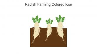Radish Farming Colored Icon In Powerpoint Pptx Png And Editable Eps Format