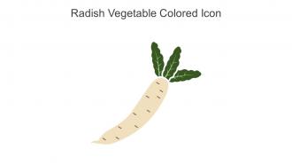 Radish Vegetable Colored Icon In Powerpoint Pptx Png And Editable Eps Format