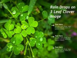 Rain drops on 3 leaf clover image
