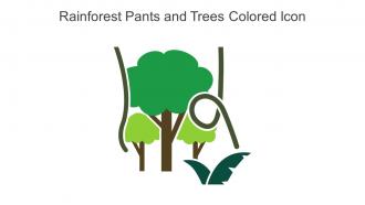 Rainforest Pants And Trees Colored Icon In Powerpoint Pptx Png And Editable Eps Format
