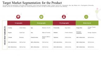 Raise receivables financing commercial target market segmentation for the product