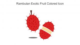 Rambutan Exotic Fruit Colored Icon In Powerpoint Pptx Png And Editable Eps Format