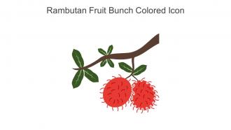 Rambutan Fruit Bunch Colored Icon In Powerpoint Pptx Png And Editable Eps Format