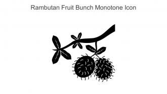 Rambutan Fruit Bunch Monotone Icon In Powerpoint Pptx Png And Editable Eps Format