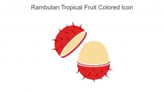 Rambutan Tropical Fruit Colored Icon In Powerpoint Pptx Png And Editable Eps Format