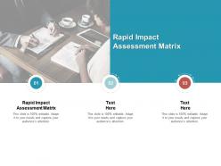 Rapid impact assessment matrix ppt powerpoint presentation gallery slide portrait cpb