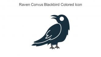 Raven Corvus Blackbird Colored Icon In Powerpoint Pptx Png And Editable Eps Format