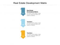 Real estate development matrix ppt powerpoint presentation file infographic template cpb